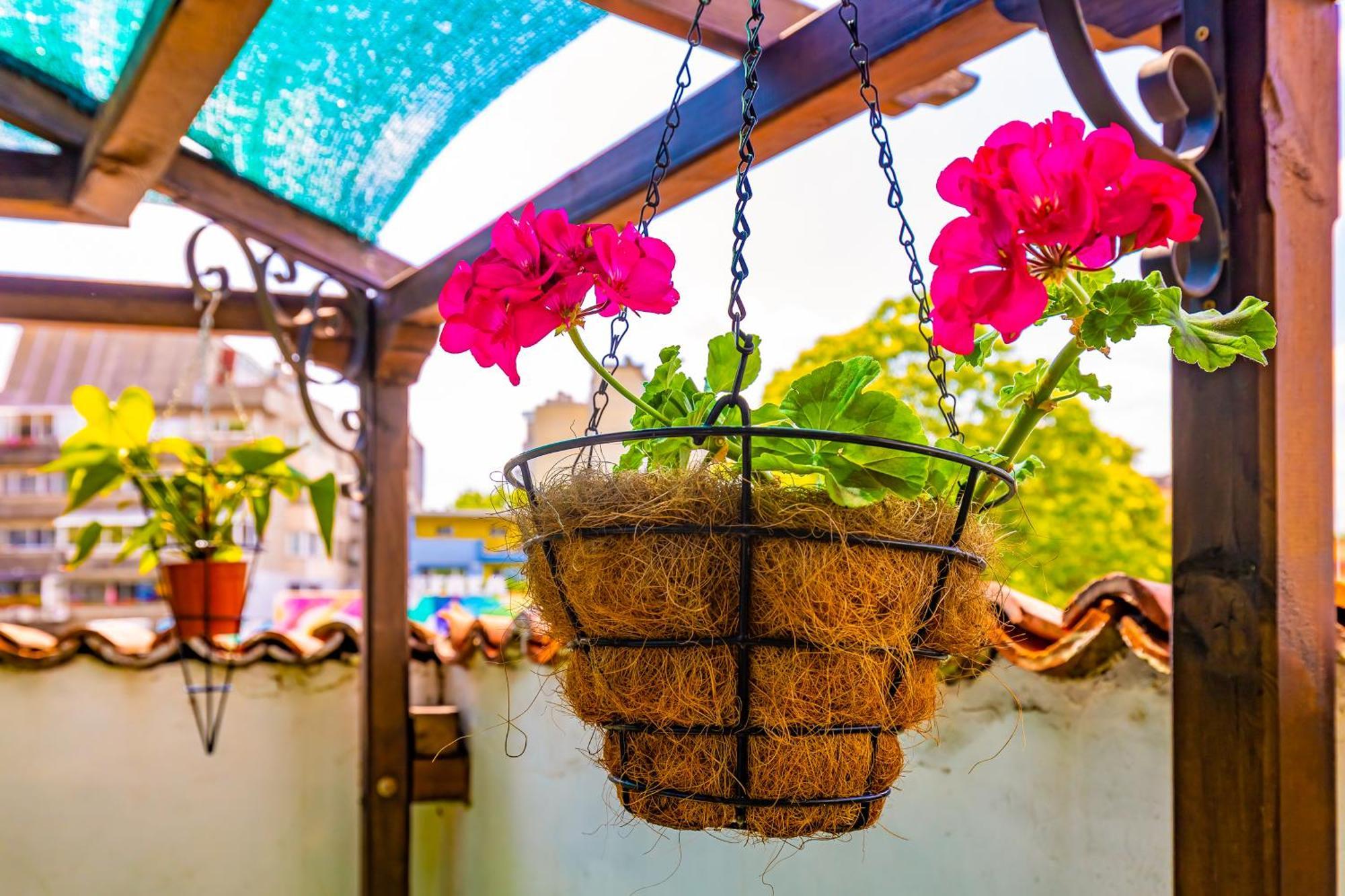 Blacksmith'S House - Old Town พลอฟดิฟ ภายนอก รูปภาพ